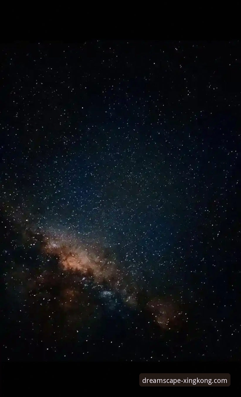 星空娱乐平台流畅体验深度剖析：从v2026.1.0版本看性能优化全貌
