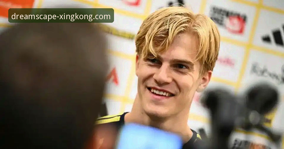 瑞典中场贝里瓦尔带伤力拼世界杯入场券，赛事转播平台关注球员康复最新动态